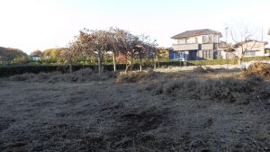 枯草を一掃する作業途中