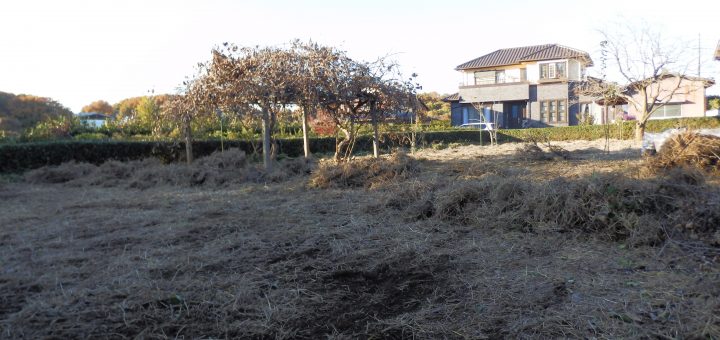 枯草を一掃する作業途中