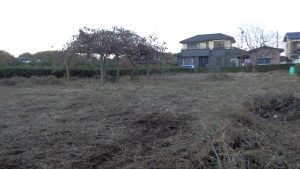 実家の裏の草刈りを再度実施して枯草を一掃した