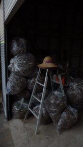 畑の雑草をまとめたけど、綺麗にしたけどいっぱいになってしまった。