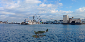 どこでも瑞雲を動かしてみた