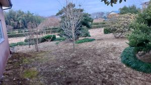 実家と畑の通路で雑草の取り残しがあるので、ここの雑踏取りをする