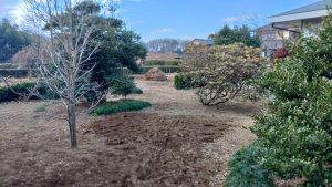 まずは、実家の雑草を根っこから掘り起こした