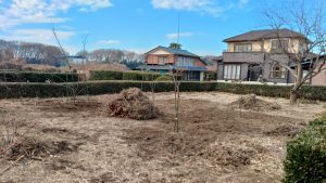 午前中の進度。梨の木の周りの雑草を根っこから掘り起こした