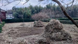 掘り起こした雑草の山。次回以降左側もやるけど、雑草の山を放置できないので、これを纏めると捨てに行かないと。