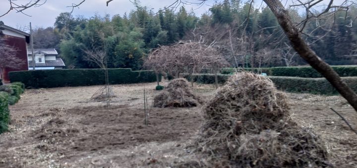 掘り起こした雑草の山。次回以降左側もやるけど、雑草の山を放置できないので、これを纏めると捨てに行かないと。
