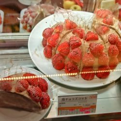 果樹園のイチゴチョコスコット