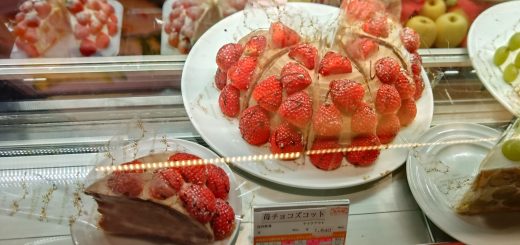 果樹園のイチゴチョコスコット