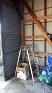 やっと綺麗になった