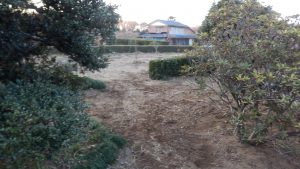 入り口部分の雑草を根こそぎ取った