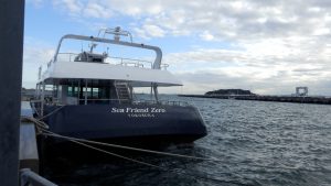 猿島と猿島航路