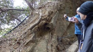 サーチライトの電線用ケーブルの後