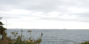 展望台の眺め観音崎が見える