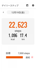 今回、17.4km歩いた。家から出て戻ってくるまで