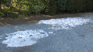 二日の雪がまだ残っている。3cmほど積もったらしい