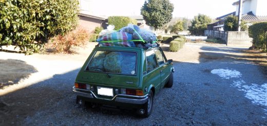 午前中に袋詰めが終わったので、一回梓のグリーンセンターへ捨てに行った