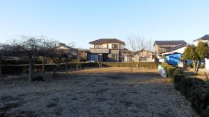 雑草の山が無くなって綺麗になった畑