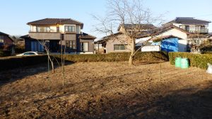 雑草の山が無くなって綺麗になった畑