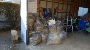 今回のごみ捨て