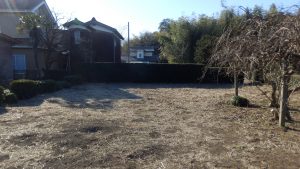 この部分に枯れた雑草が残っている