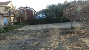 あとは裏側の1/3の部分になりそう。