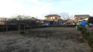 枯れた雑草取りは残り1/3まで来た。