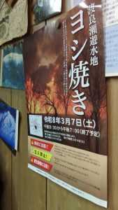 渡良瀬遊水地のヨシ焼