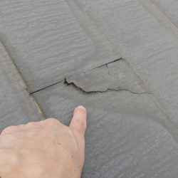 割れも発生している。