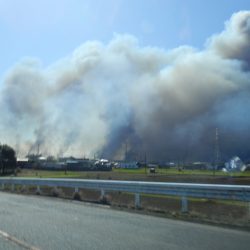 かなり近い位置にある。