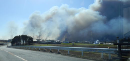 かなり近い位置にある。