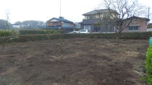 一通り雑草取りをして完了