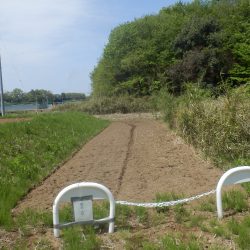 藤岡の栗畑の草刈りを実施した。 人の境界のお茶の木を刈られて困っていたけど、さすがに警告文が効いていたようだ。