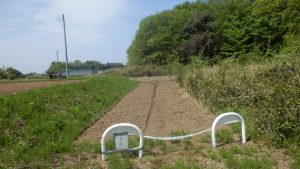 人の境界のお茶の木を刈られて困っていたけど、さすがに警告文が効いていたようだ。