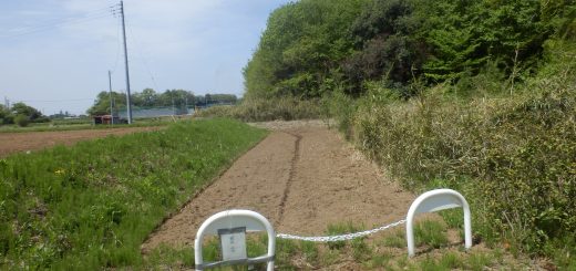 人の境界のお茶の木を刈られて困っていたけど、さすがに警告文が効いていたようだ。