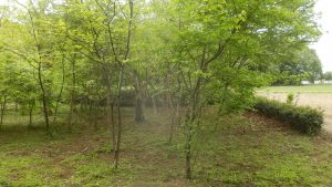 入り口は入念に実施した。