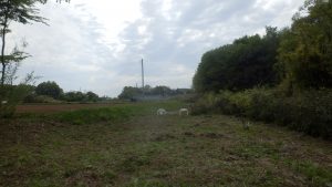 警告文を張ったので管理していないのも問題なのでちゃんと刈っておく