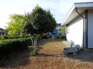 実家の庭の草刈りも実施した。