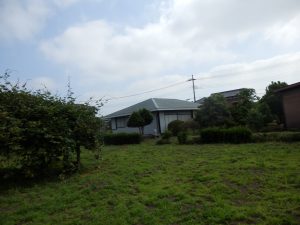 2週間たって、ちょこちょこ雑草がある。