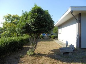 実家の方の草刈りも終わった