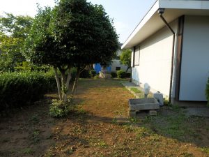 自宅の庭もざっと刈っておいた。