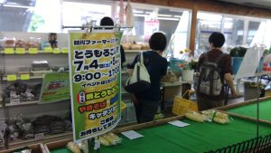 トウモロコシ祭りは7/4-5で実施する