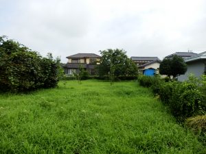 相変わらず雑草が伸びるのが早い