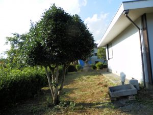 草刈りを実施した