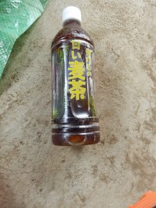 甘い麦茶