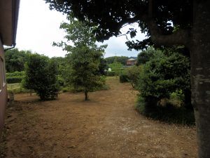除草剤をまいても草刈りは必要