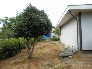 除草剤をまいても草刈りは必要