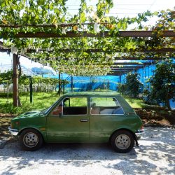 INNOCENTI120SLの修理のついでにコマキ農場に寄った