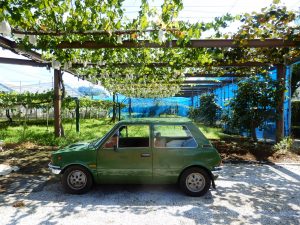 INNOCENTI120SLの修理のついでにコマキ農場に寄った