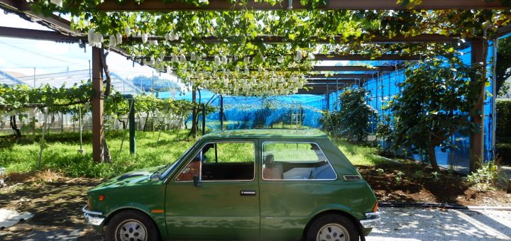 INNOCENTI120SLの修理のついでにコマキ農場に寄った