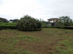 実家の隣の畑の草刈りを実施した。